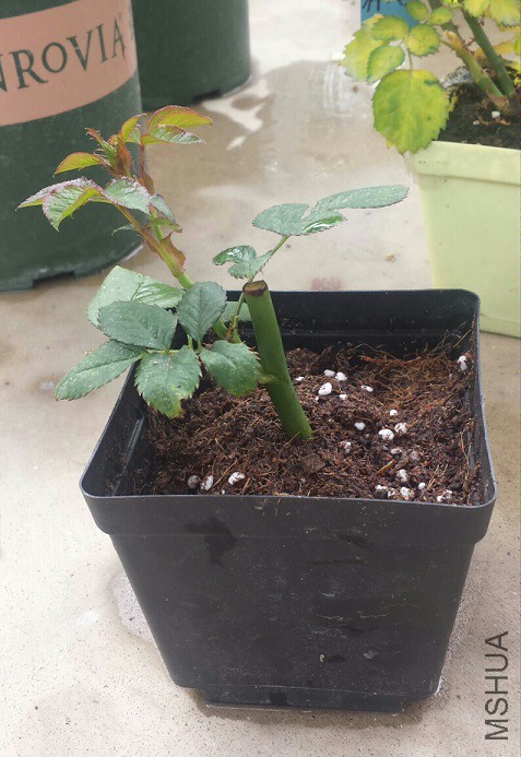 2015-04-04 09.05.40_resized.jpg