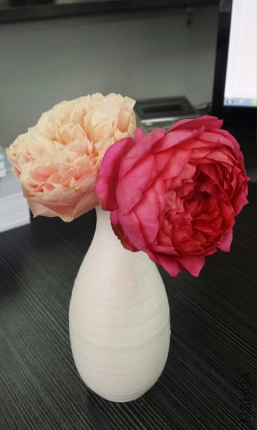 �̲�סҪ����һ������ɺ���ĺ����գ�ɺ���Ķ���32�����տ���5�춼ûɢ�����յð׷�һ�����ĺܲ���