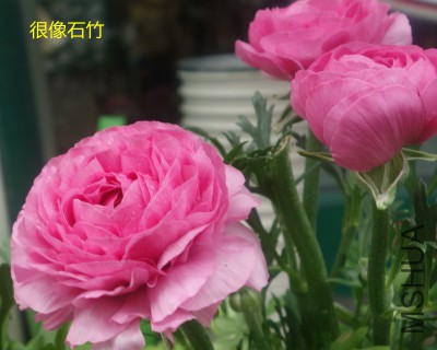 QQͼƬ20150407204134.jpg