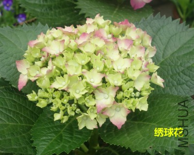 QQͼƬ20150407204203.jpg