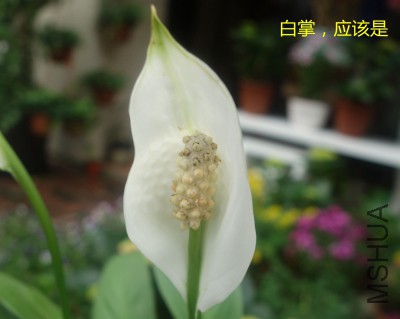 QQͼƬ20150407204214.jpg