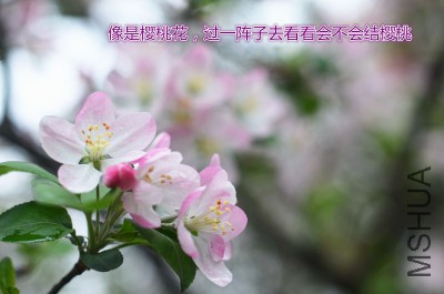 QQͼƬ20150407204228.jpg