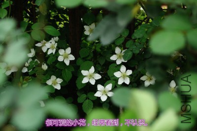 QQͼƬ20150407204245.jpg