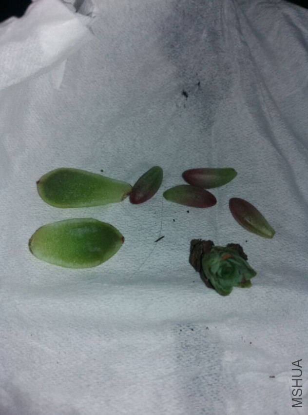 QQͼƬ20150408193535.jpg