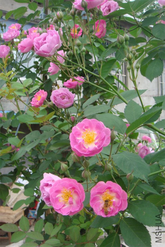 DSC03018.JPG