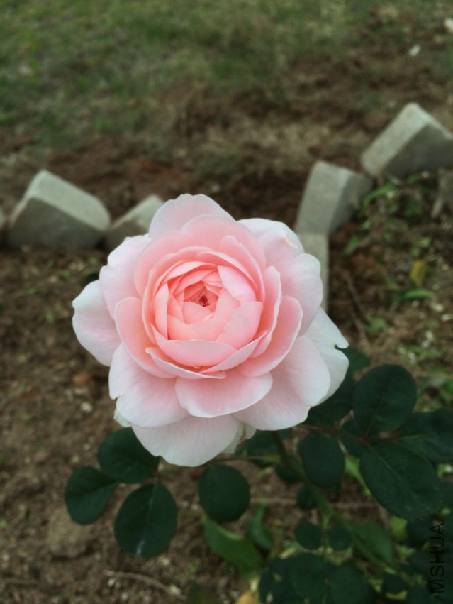 �ٿ������Ů������