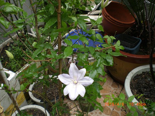 CIMG4670_����.jpg