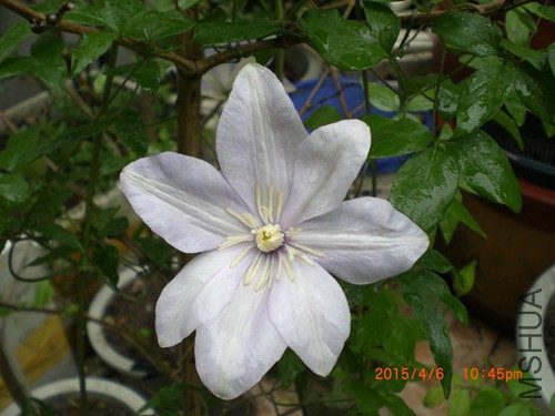 CIMG4671_����.jpg