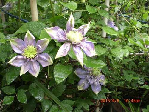 CIMG4672_����.jpg