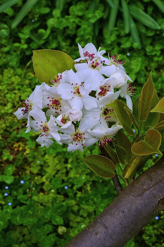 DSC_7101.jpg