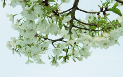 QQͼƬ20150409061708.png
