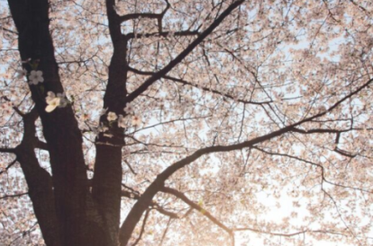 QQͼƬ20150409062045.png