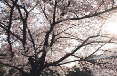 QQͼƬ20150409062106.png