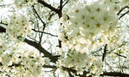 QQͼƬ20150409062150.png