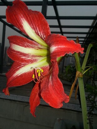 2015-04-09 07.50.17.jpg