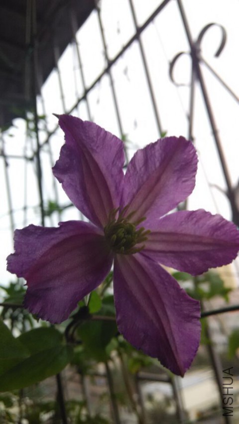 QQͼƬ20150409085250.jpg