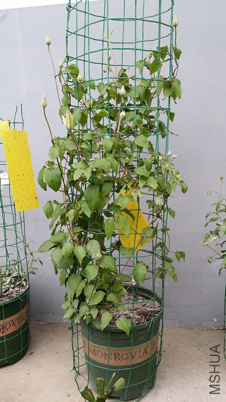 QQͼƬ20150409163226_��ת_����.jpg