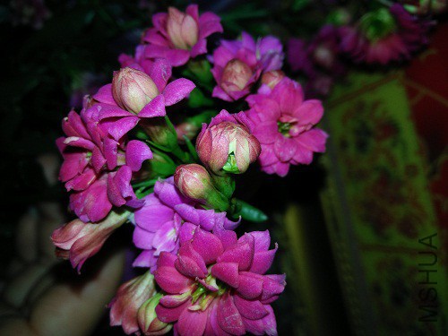 IMG20150319180433.jpg