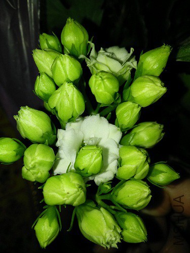 IMG20150319180236.jpg