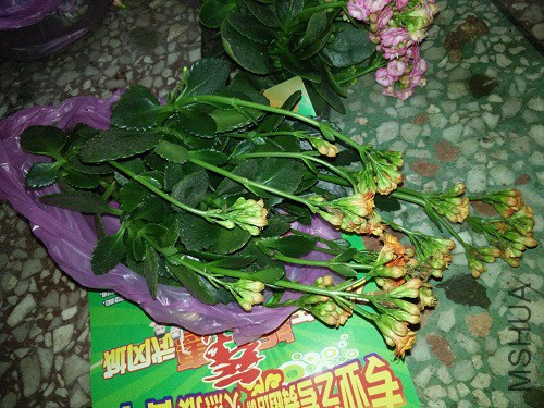 IMG20150319180342.jpg