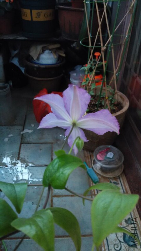 QQͼƬ20150410110153.jpg