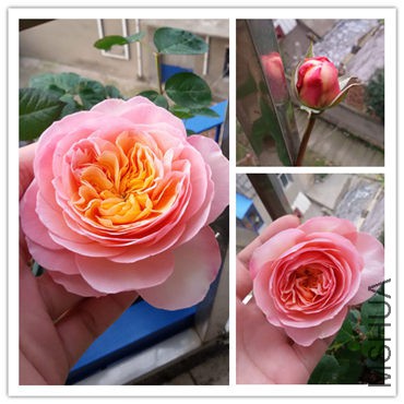 20150327_081400_����.jpg
