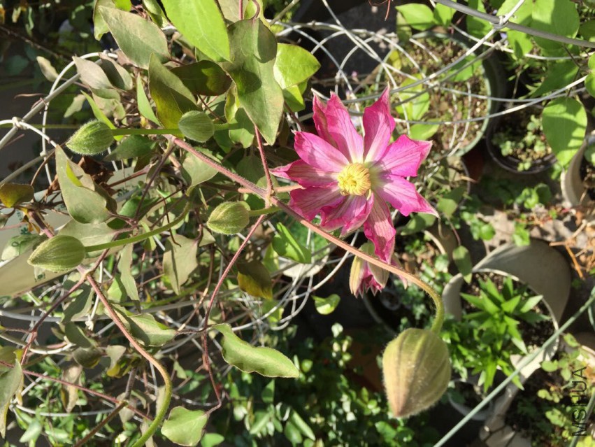 QQͼƬ20150410115853.jpg