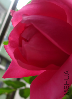 QQͼƬ20150410122941.png