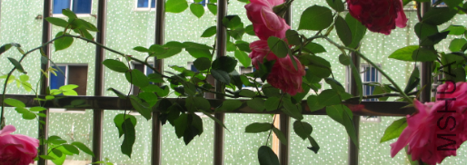 QQͼƬ201504101232380.png