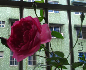 QQͼƬ20150410123139.png