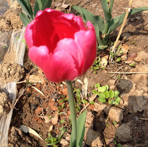 QQ��ͼ20150410130225.jpg