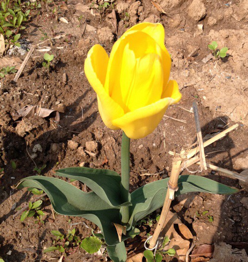 QQ��ͼ20150410130235.jpg
