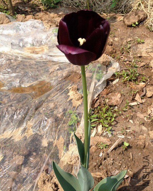 QQ��ͼ20150410130249.jpg