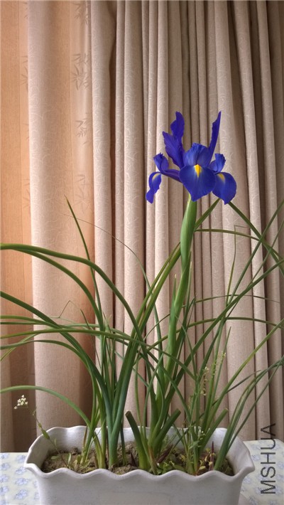WP_20150410_002.jpg