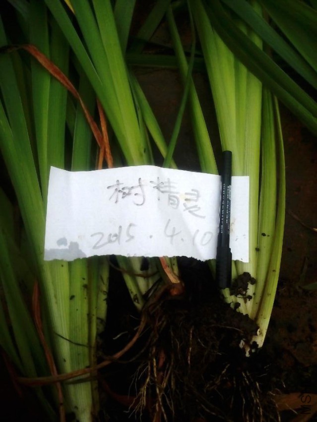 QQͼƬ20150410143357.jpg