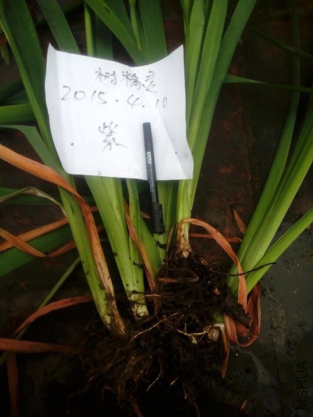 QQͼƬ20150410143434.jpg