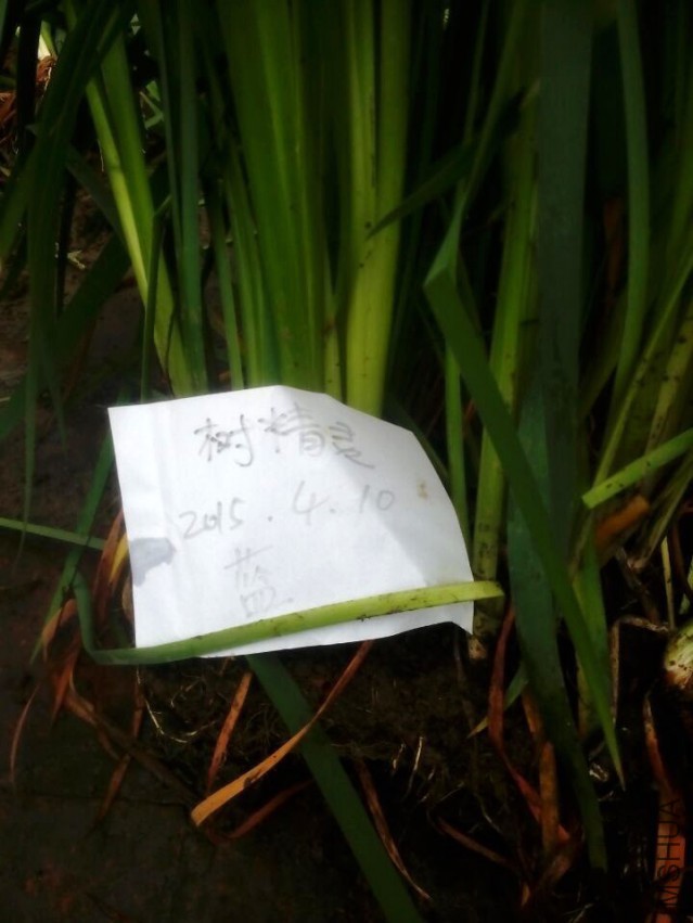 QQͼƬ20150410143508.jpg