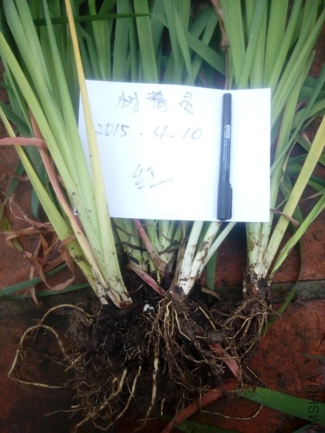 QQͼƬ20150410143516.jpg