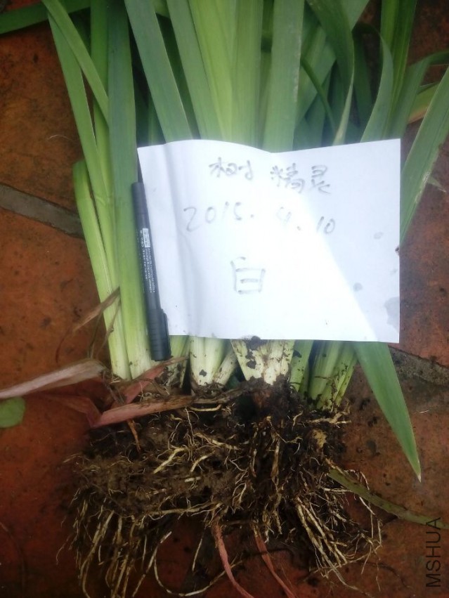 QQͼƬ20150410143523.jpg