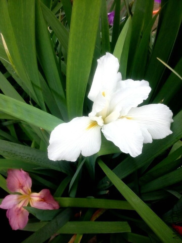 QQͼƬ20150410143444.jpg