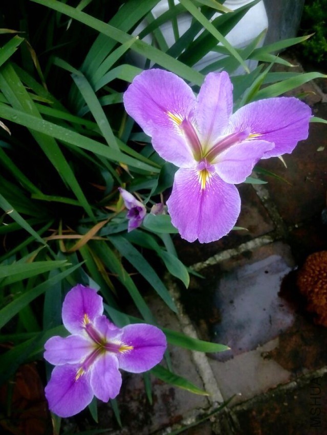 QQͼƬ20150410143454.jpg