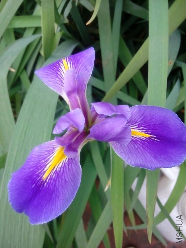 QQͼƬ20150410143539.jpg