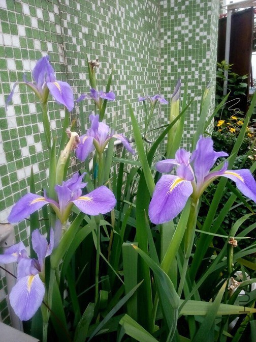 QQͼƬ20150410143534.jpg