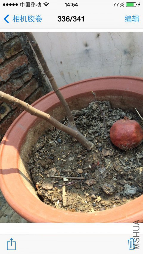 QQͼƬ20150410150423.jpg