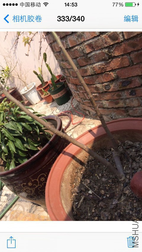 QQͼƬ20150410150428.jpg