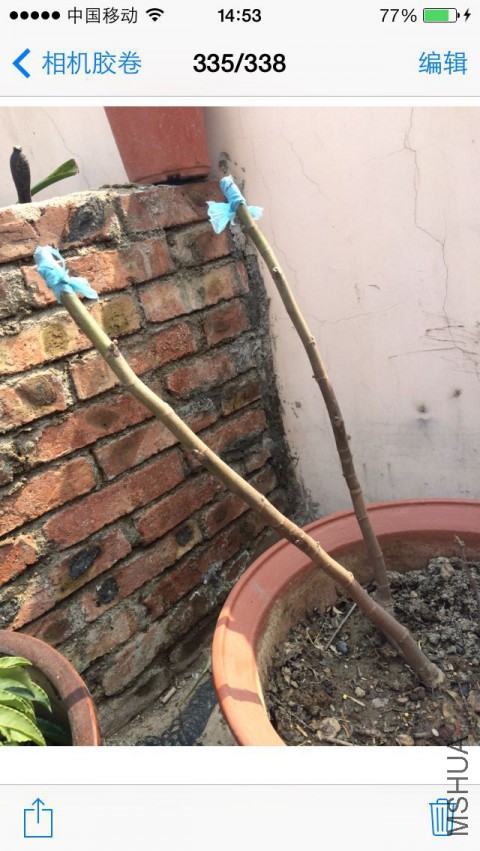 QQͼƬ20150410150433.jpg