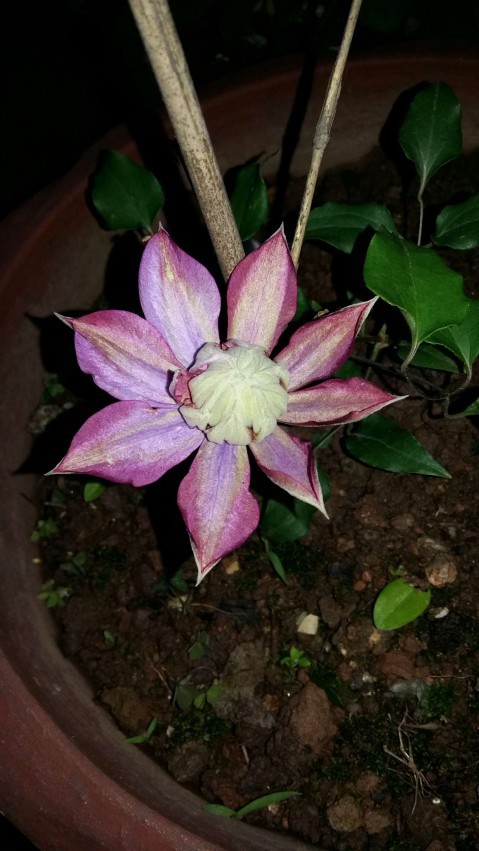 ��ʯ��ʯ������