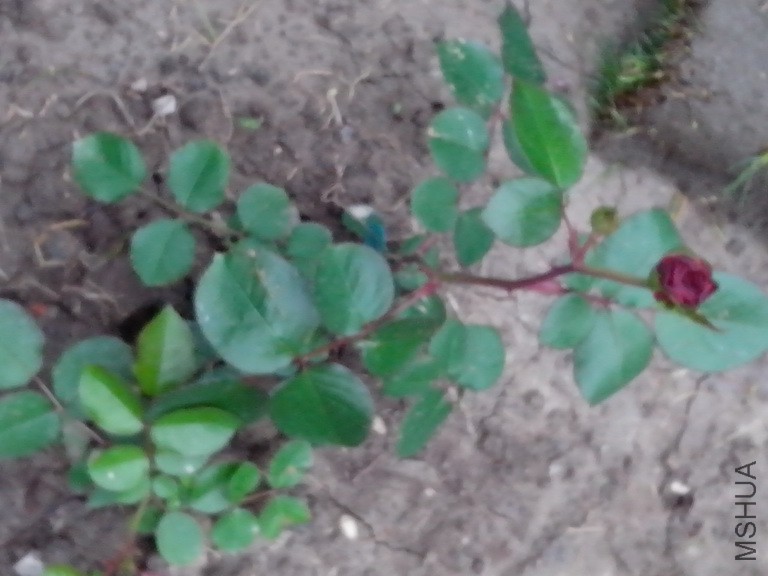 ��ô���澹Ȼ���˸���������������ԭ���ҵ��ֻ�û�Խ�׼��������