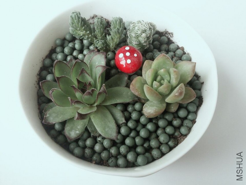 QQͼƬ20140227140804.jpg