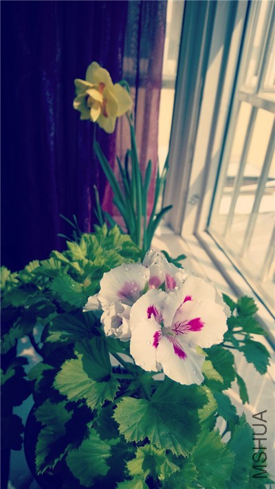 MTXX_20150411_112632.jpg